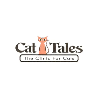 Cat Tales The Clinic For Cats