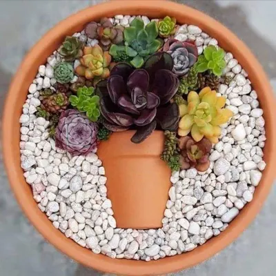 One Man With A Few Gardens