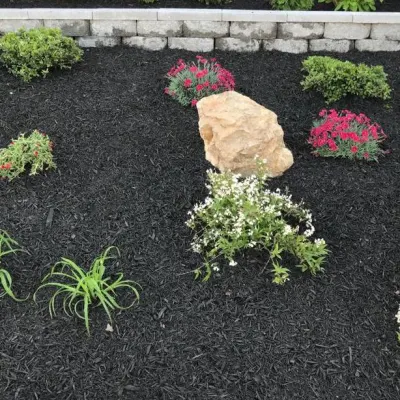 Patricia Multiservices & Landscaping