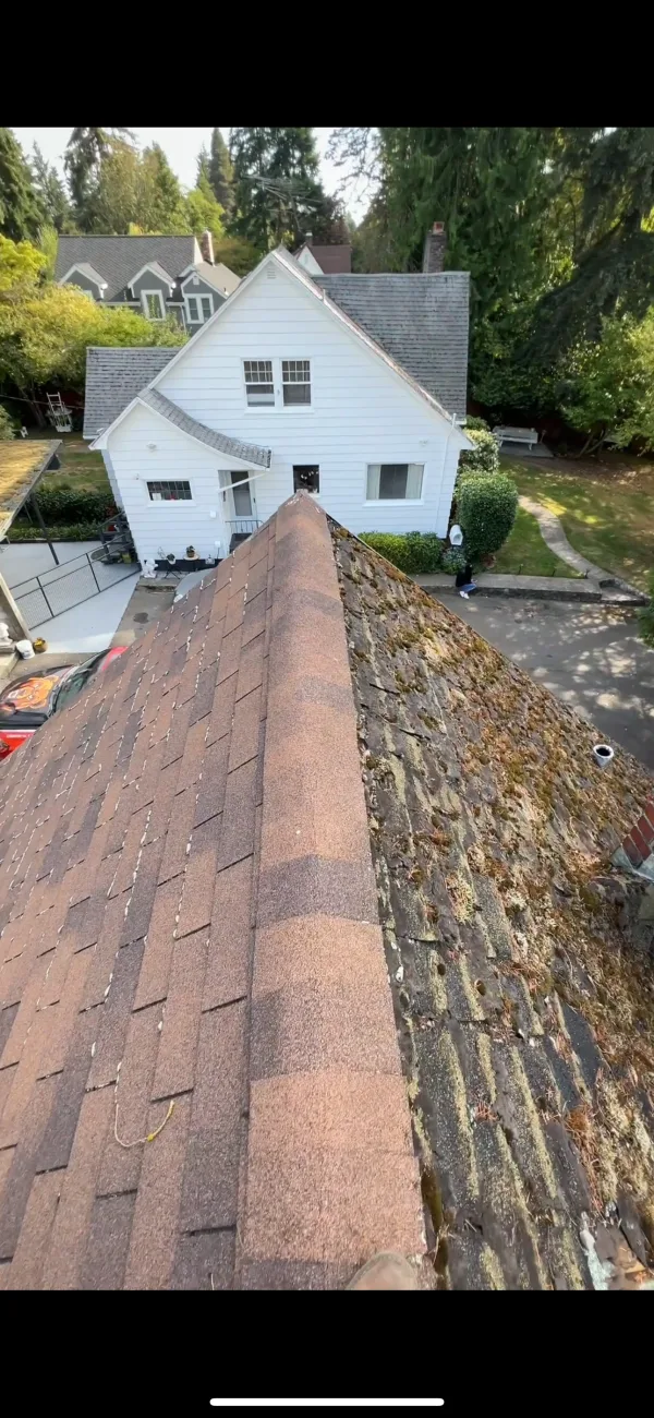 Roof was in really bad conditions