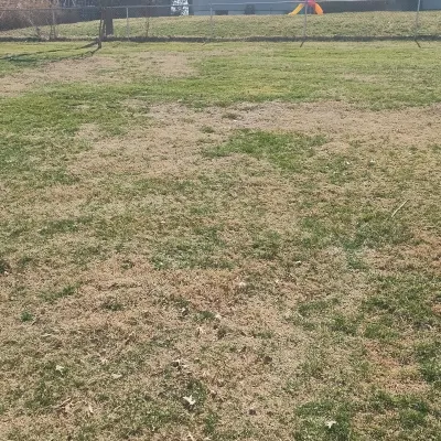 Green Acres Leaf Removal 