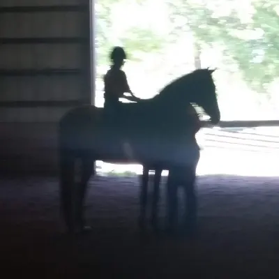 Janet Green Stables