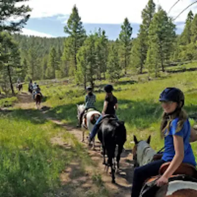 Bear Mountain Stables