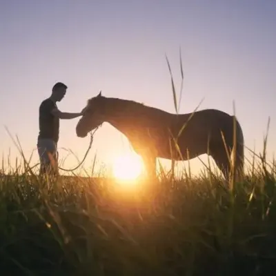 Equine Empowerment Center, Inc.