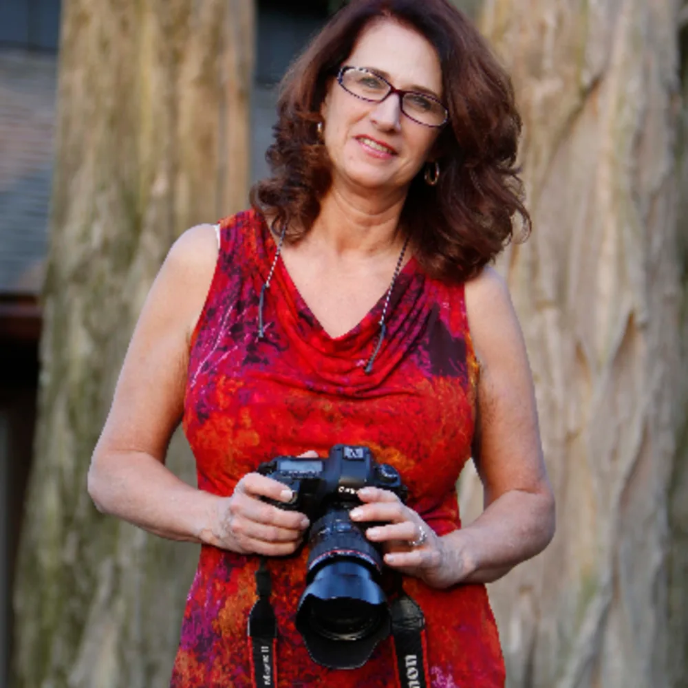 Katydid Photography