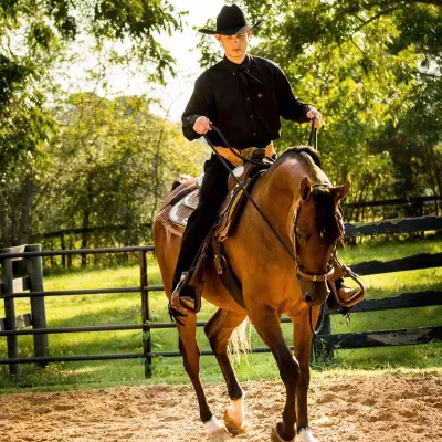 CG Performance Horses