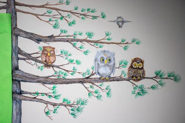 Murals in all classrooms.