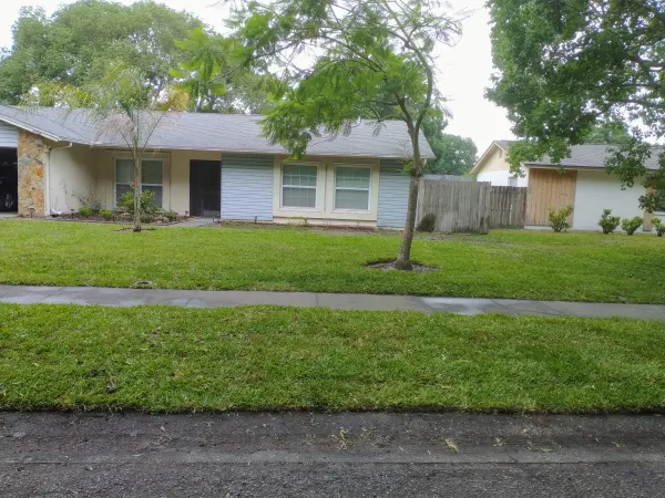 Sod Installation 