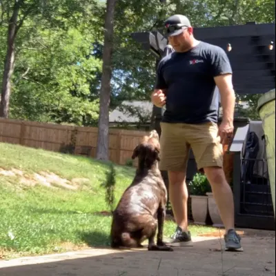 Pro K9 Coach LLC