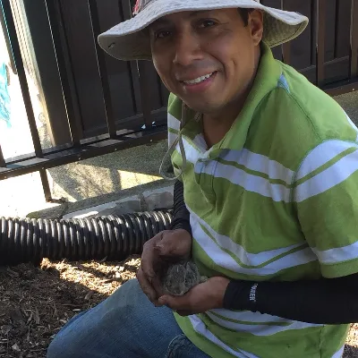 Josemowing & Landscaping