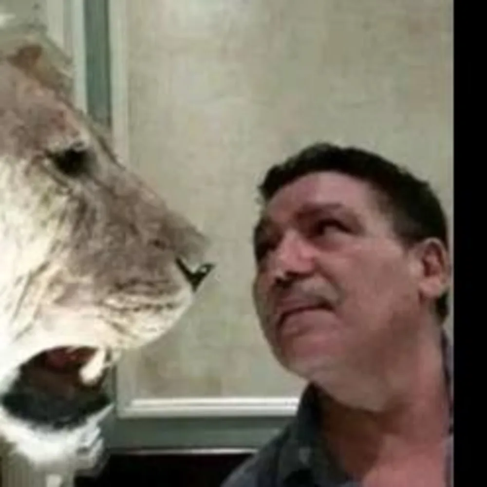 Azzooz