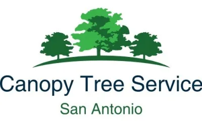 Canopy Tree Service