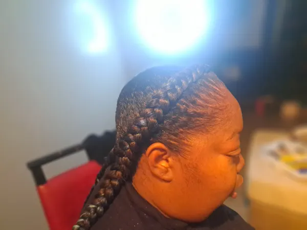 Feed-in braids