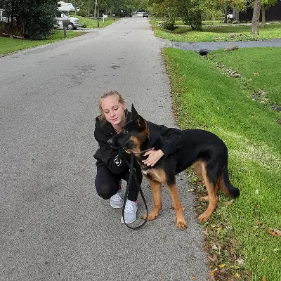 Dog Sitter Or Walker