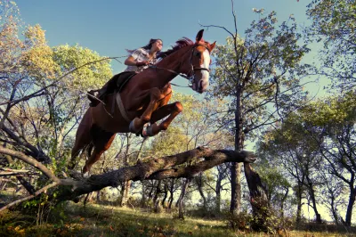 Cutting Edge Cow Horses