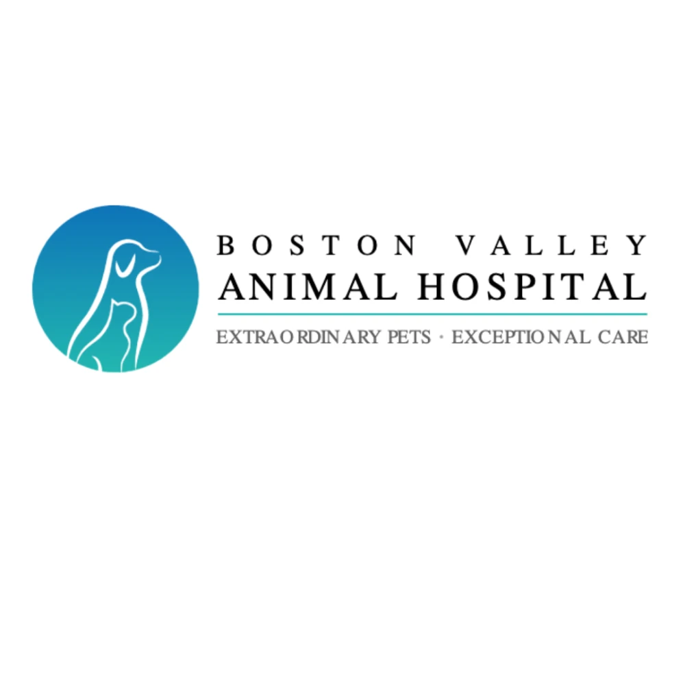 Boston Valley Animal Hospital