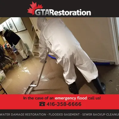 Water Damage Plumber Toronto Mold Removal