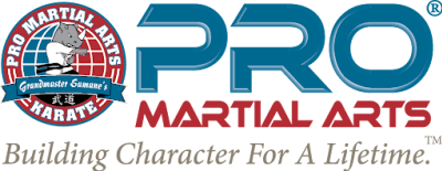 Pro Martial Arts Lake Orion