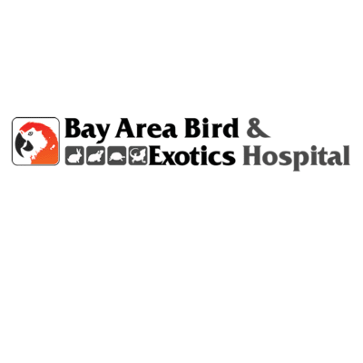 Bay Area Bird And Exotics Hospital