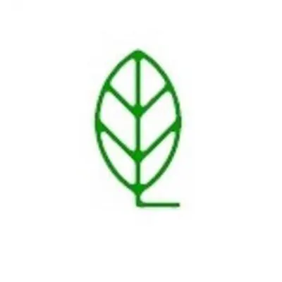 Leafling Preschool And Childcare Center