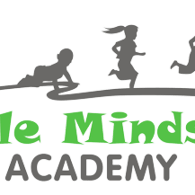 Little Minds 1st Academy LLC