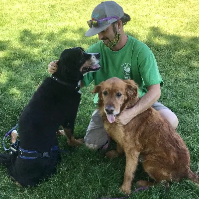 Black Dog Pet Services