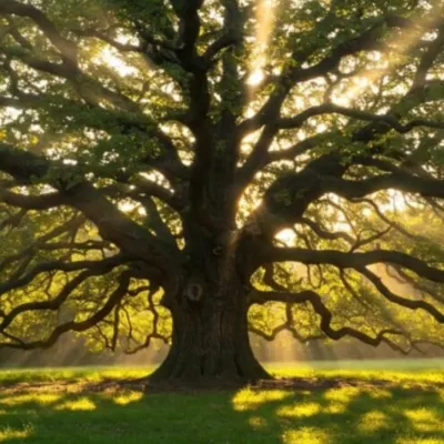 Full Scale Tree Service 