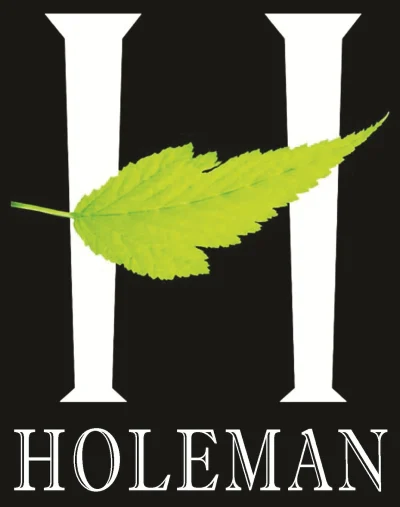 Mark M Holeman Inc