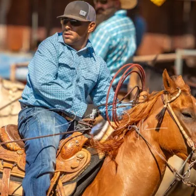 Crossfire Rope Horses