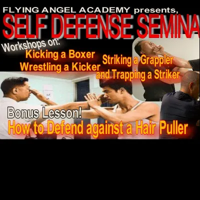 Flying Angel Academy