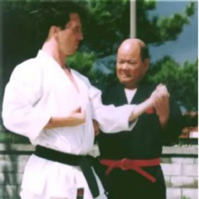 Okinawan Shorin-ryu Karate Lessons