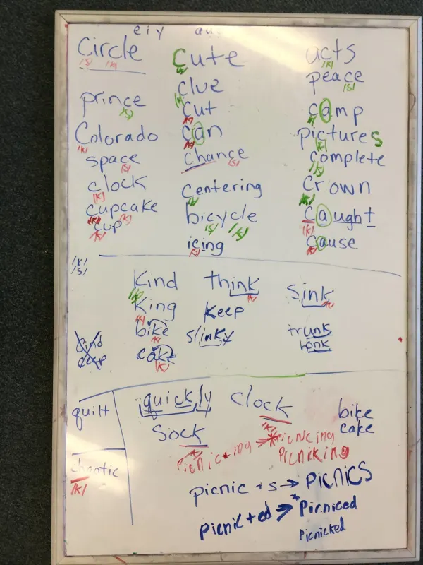 This particular study led to the elementary school-aged client asking "Do you work with kids? They should be telling us this stuff in school!" 