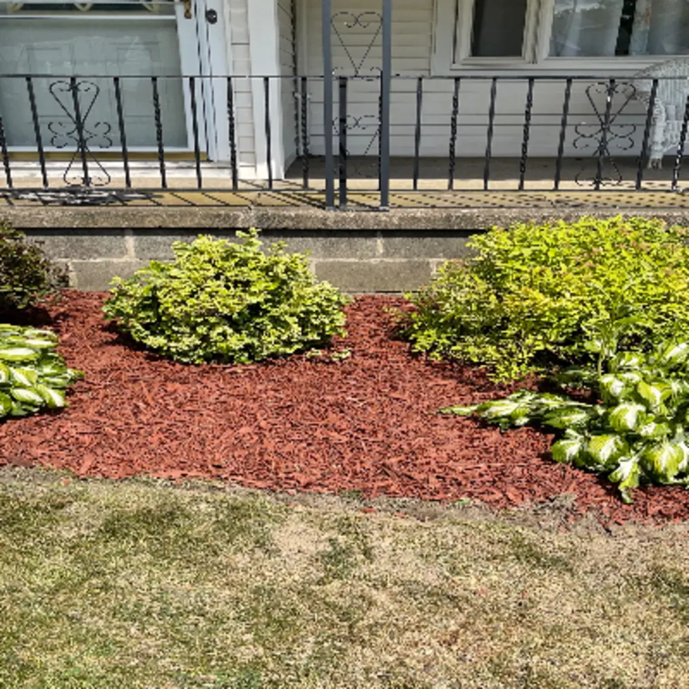 Marcs Landscaping And Design