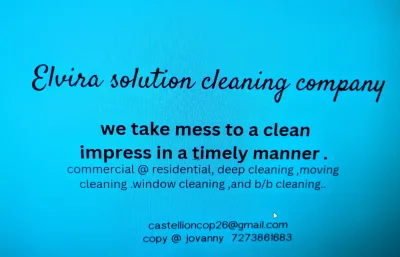 Elvira Solution Cleaning 