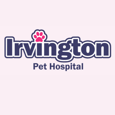 Irvington Pet Hospital