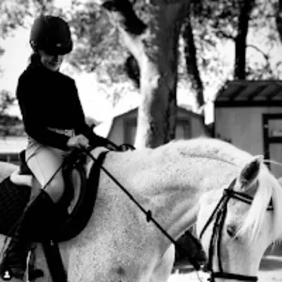 Tally Riding Academy