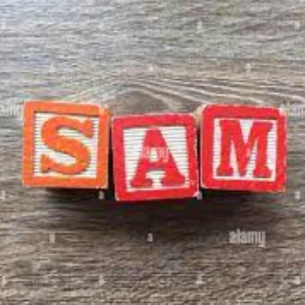 Sam Goldberg