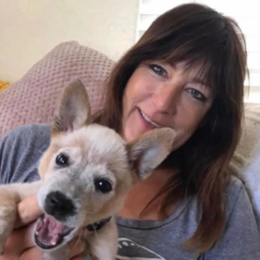 Allison Shea’s Lucky Dogs