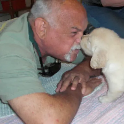 FYL DOG TRAINING