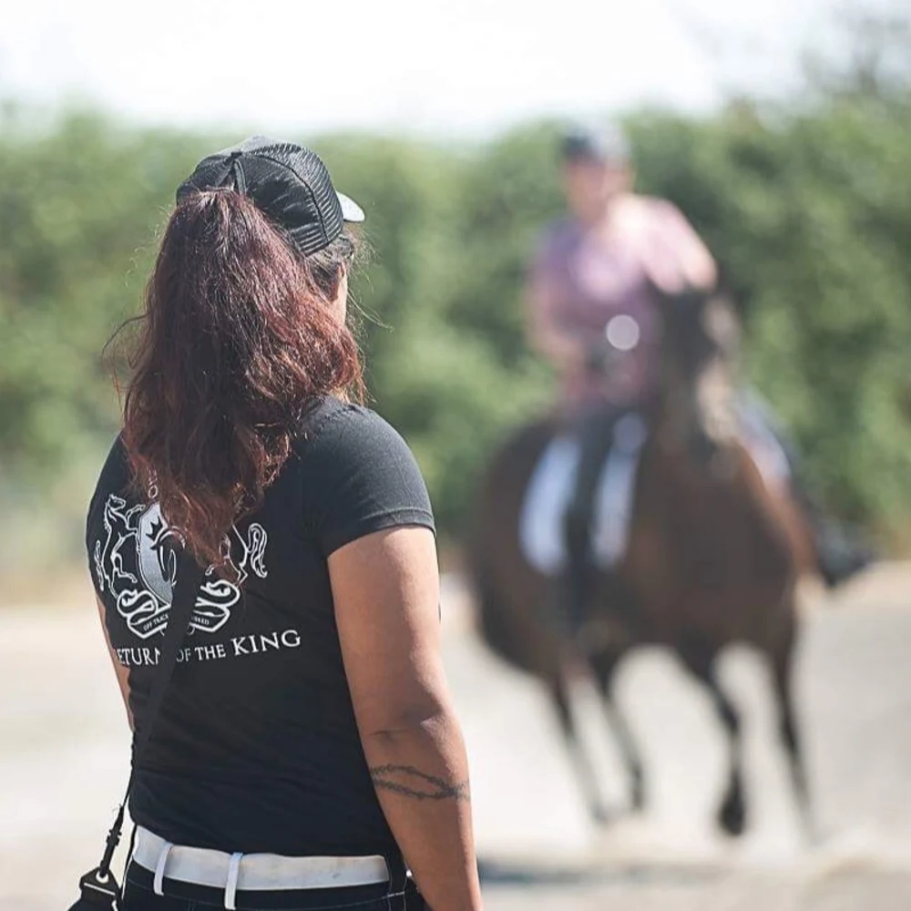 Midnight Rose Equestrian LLC
