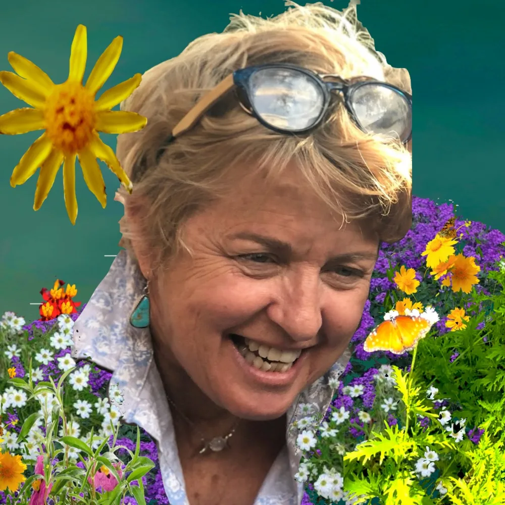 Kimberley Hinton, Terra Bella