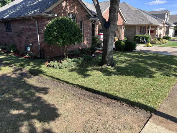 Palisades Zoysia Sod Installation in Denton , Texas 