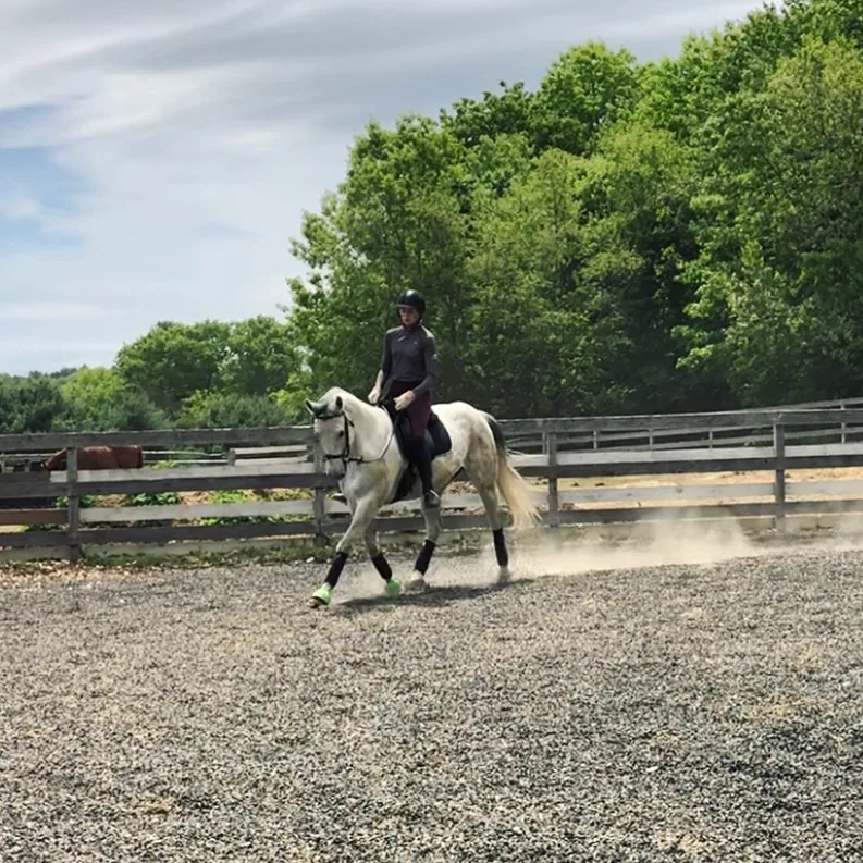 Keen Equestrian At Brookside Stables in Portland, ME //