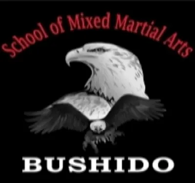 Bushido School Of Mixed Martial Arts
