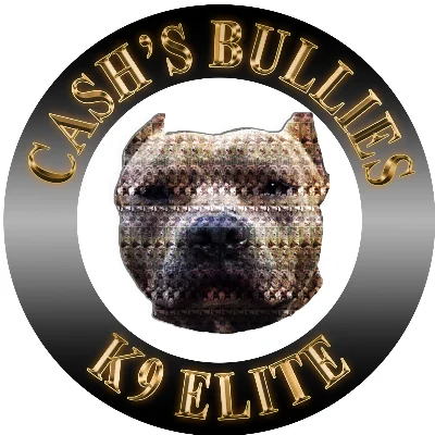 Cashs Bullies K9 Elite