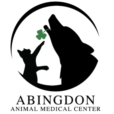 Abingdon Animal Medical Center