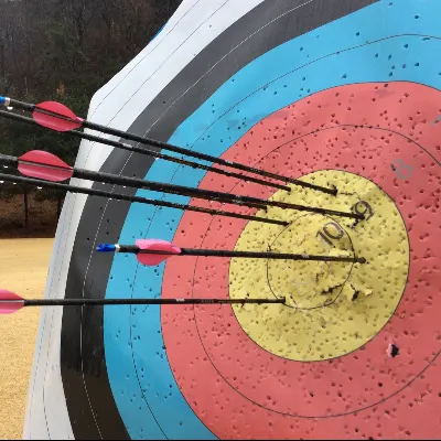 Principle Power Archery