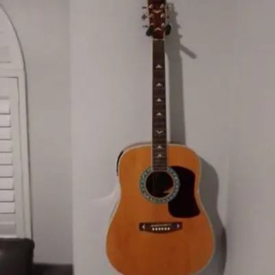 Guitars By Mick