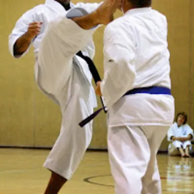 Japanese Shotokan Karate Association Of Rochester