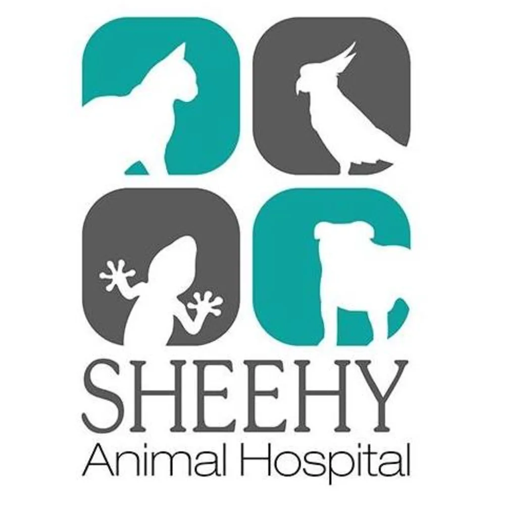 Sheehy Animal Hospital